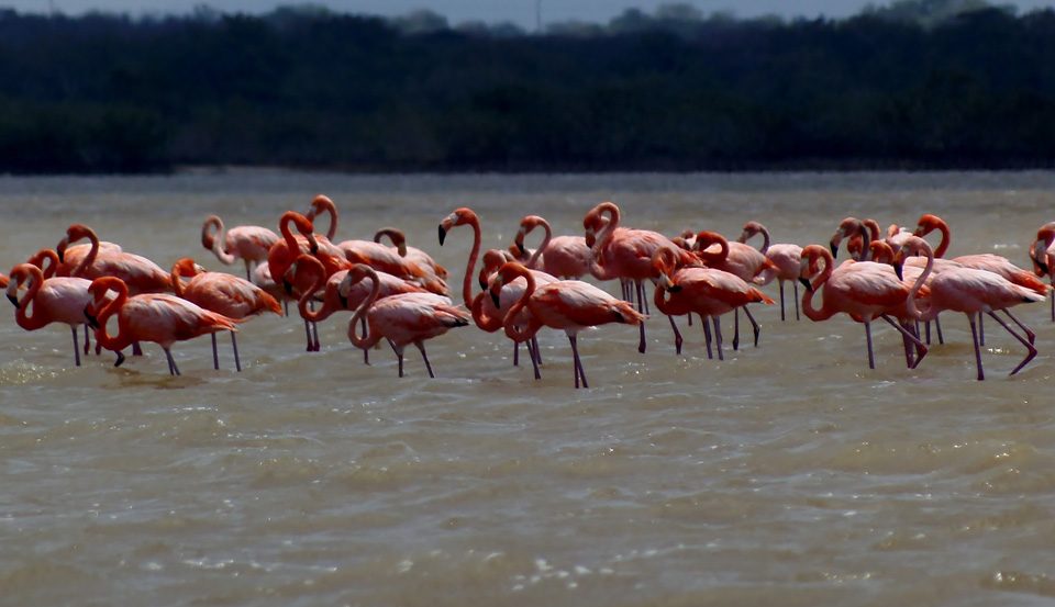 La Guajira Colombia, desalination