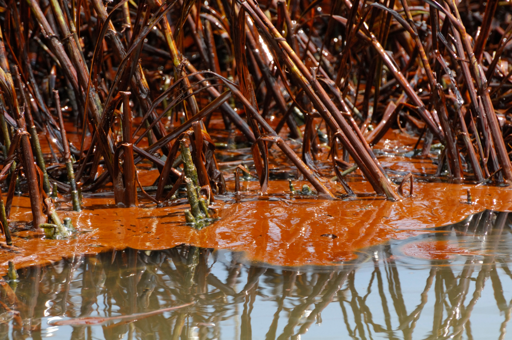 oil spill Santander